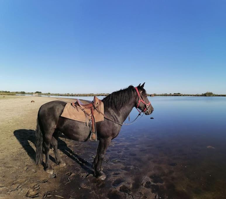 A Andre Des Eaux * Saint-Andre-des-Eaux (Loire-Atlantique)